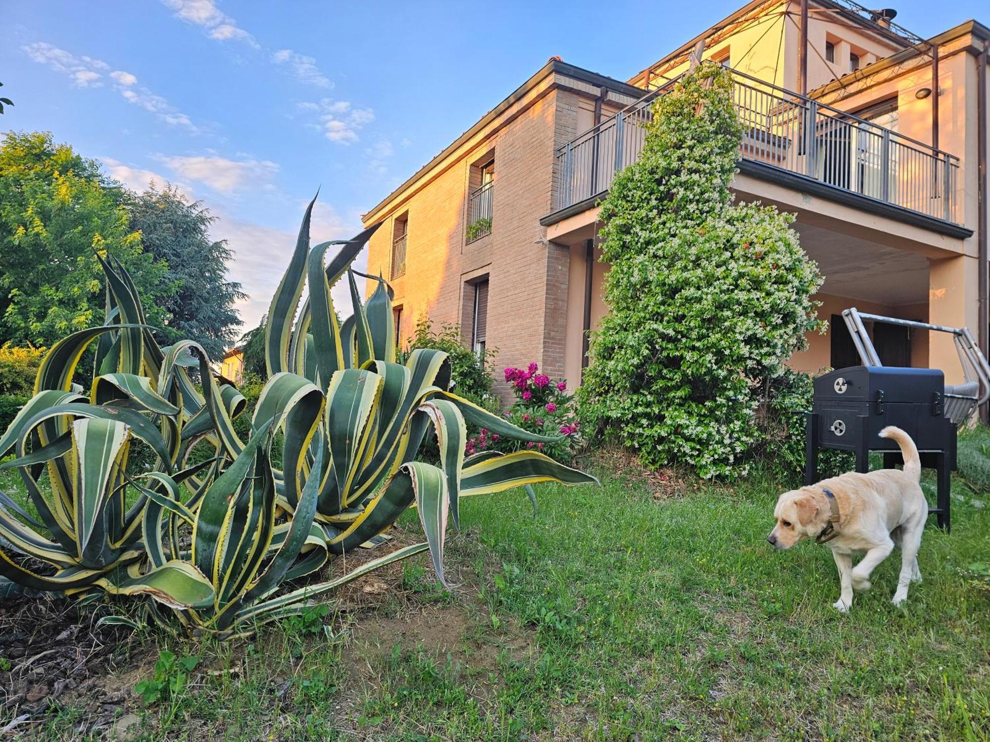Casa Vincenzo 130 Mq Con Portico Ed Ingresso Esclusivo Dal Giardino Villa Felino Exteriör bild