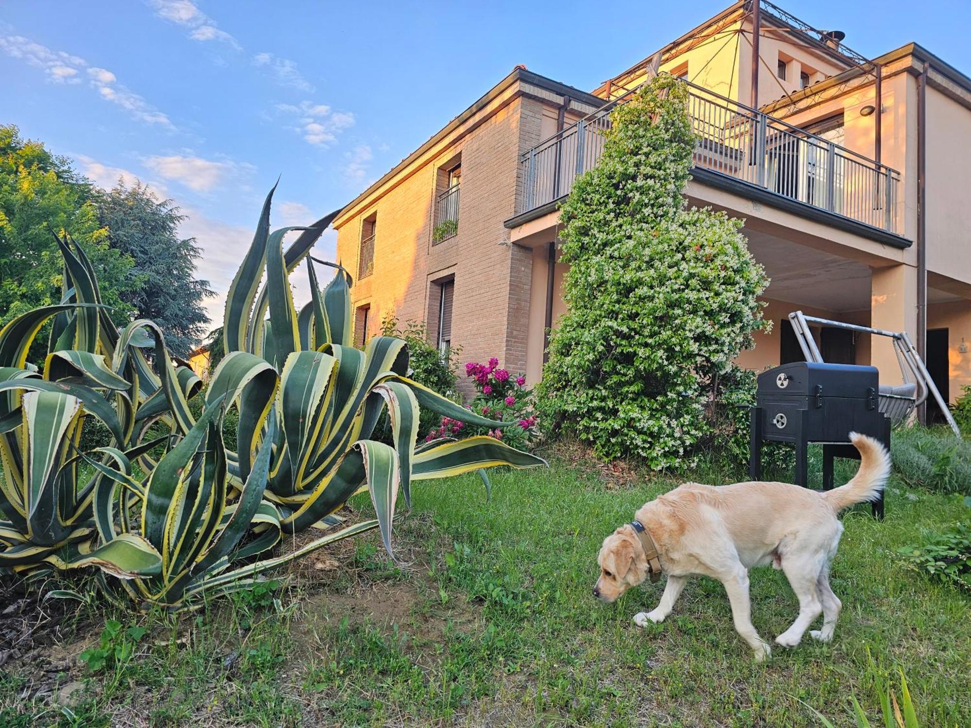 Casa Vincenzo 130 Mq Con Portico Ed Ingresso Esclusivo Dal Giardino Villa Felino Exteriör bild